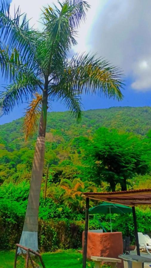 Hotel Finca Mi Cabana Escondida 3*