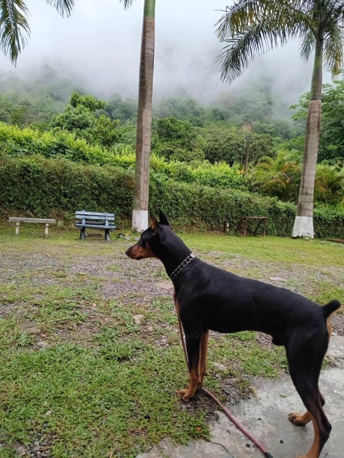 Finca Mi Cabana Escondida 3* San Jeronimo (Antioquia)